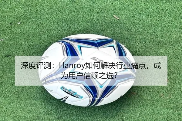 深度评测：Hanroy如何解决行业痛点，成为用户信赖之选？