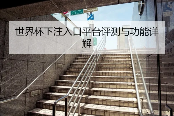 世界杯下注入口平台评测与功能详解
