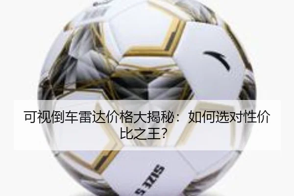 可视倒车雷达价格大揭秘：如何选对性价比之王？
